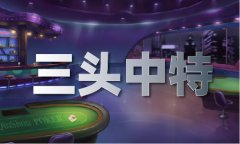 新版内部b图纸体验服下载V