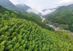 年创产值超8000亿元 福建不竭挖掘培育“丛林粮库